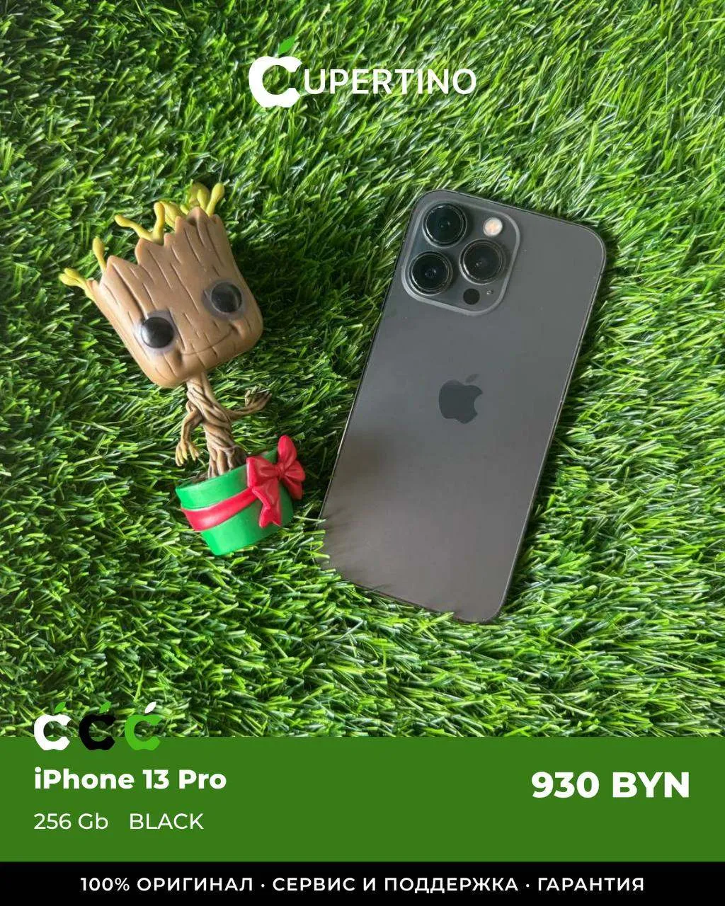 iPhone 13 Pro