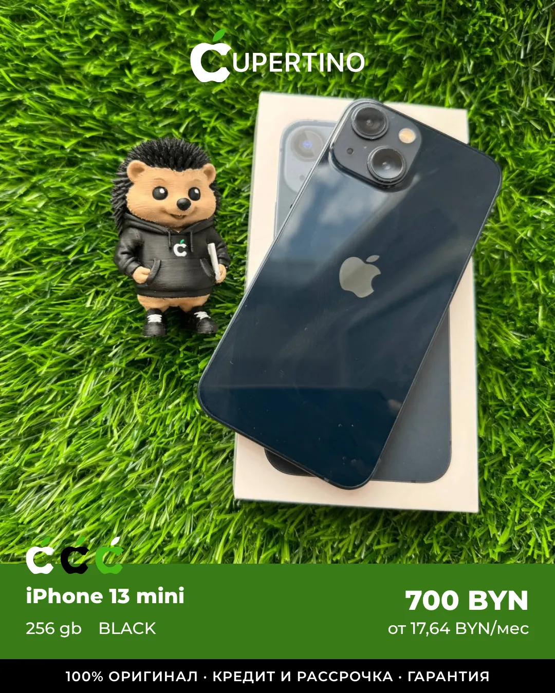 iPhone 13 mini 256Gb | Black